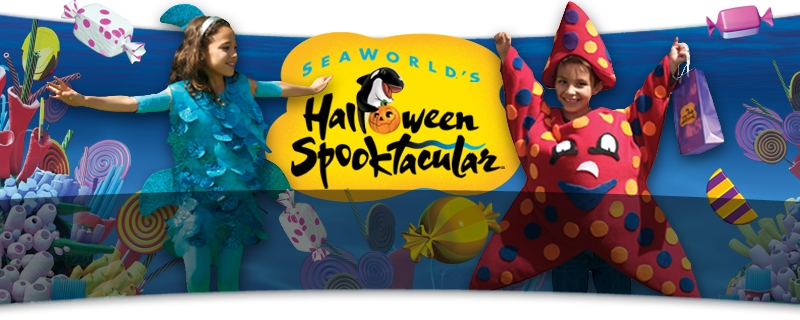 Festa de Halloween no parque SeaWorld